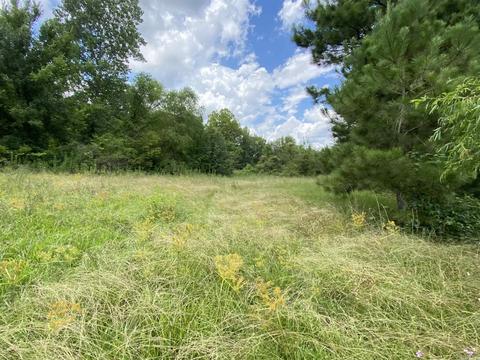 503 S 4th St, Foreman, AR 71822 photo 13
