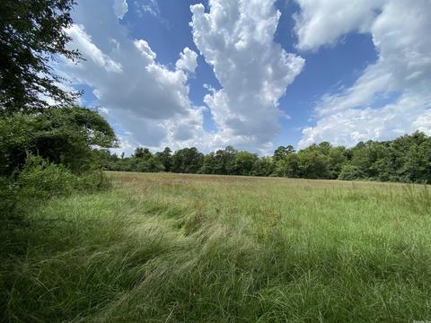 503 S 4th St, Foreman, AR 71822 photo 2