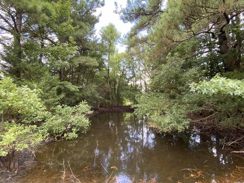 503 S 4th St, Foreman, AR 71822 photo 12
