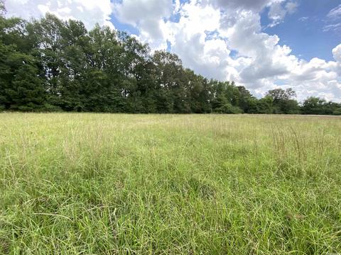 503 S 4th St, Foreman, AR 71822 photo 17