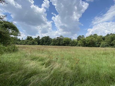 503 S 4th St, Foreman, AR 71822 photo 3