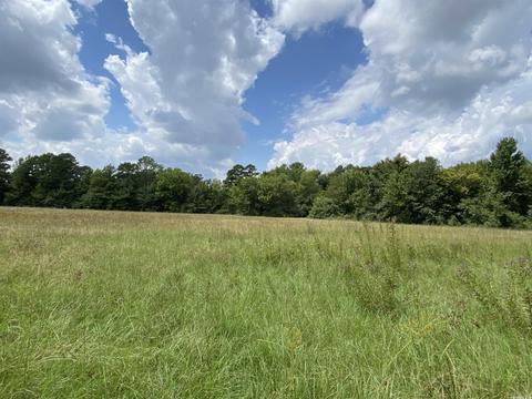 503 S 4th St, Foreman, AR 71822 photo 5