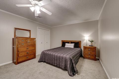 13 Laura Ln, Conway, AR 72034 photo 22