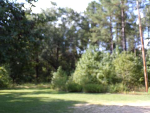 454 Bradley 41 Rd, Warren, AR 71671 photo 14