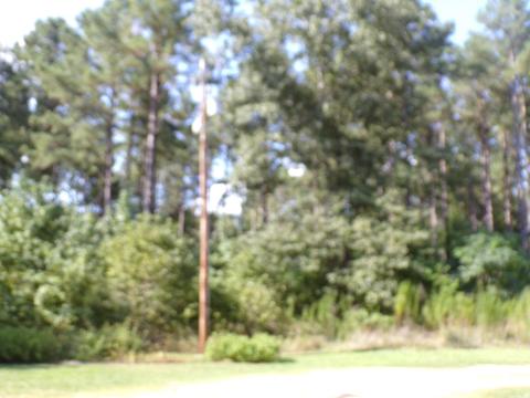 454 Bradley 41 Rd, Warren, AR 71671 photo 15
