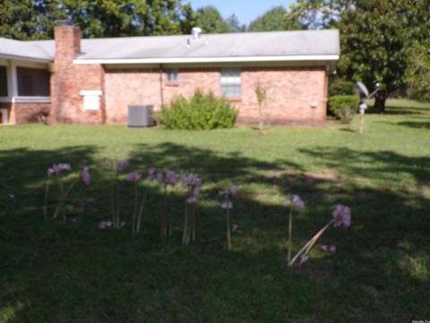 454 Bradley 41 Rd, Warren, AR 71671 photo 7