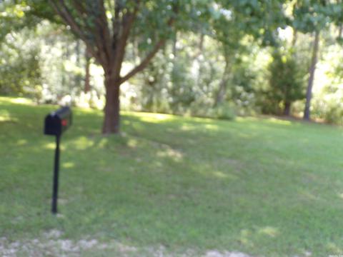 454 Bradley 41 Rd, Warren, AR 71671 photo 34