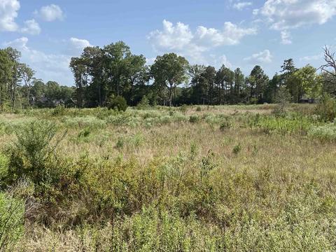 2904 Midland Rd, Alexander, AR 72202 photo 14