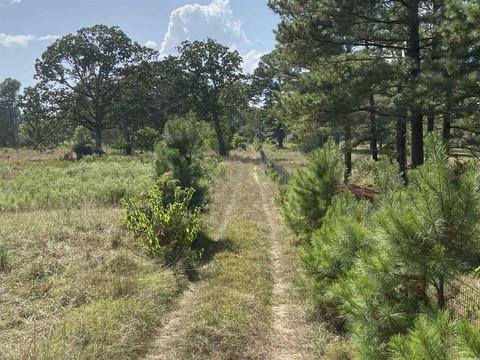 2904 Midland Rd, Alexander, AR 72202 photo 10