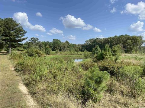 2904 Midland Rd, Alexander, AR 72202 photo 7