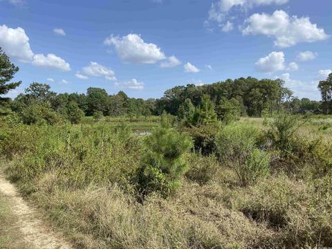 2904 Midland Rd, Alexander, AR 72202 photo 6