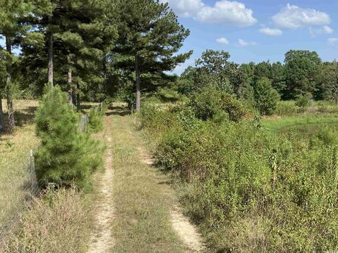 2904 Midland Rd, Alexander, AR 72202 photo 15