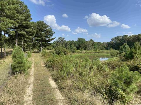2904 Midland Rd, Alexander, AR 72202 photo 9