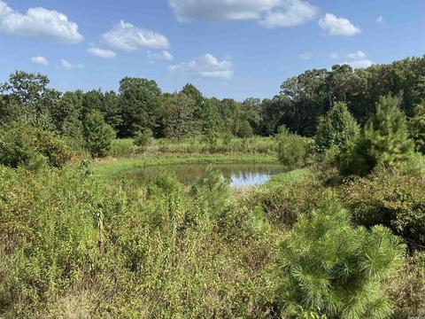 2904 Midland Rd, Alexander, AR 72202 photo 8
