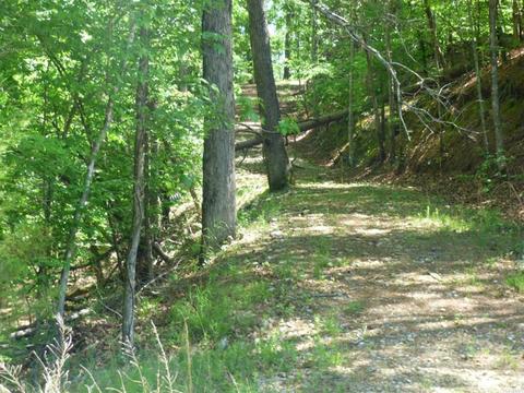 209 Arrowpoint, Royal, AR 71968 photo 2