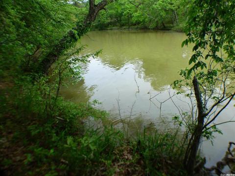 209 Arrowpoint, Royal, AR 71968 photo 9