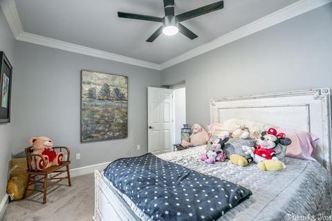4665 Sawgrass Cv, Conway, AR 72034 photo 27