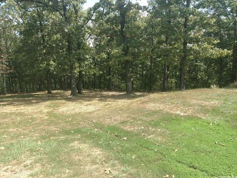 40 River Run Cv, Bigelow, AR 72016 photo 9