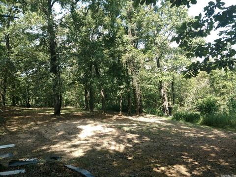 40 River Run Cv, Bigelow, AR 72016 photo 10