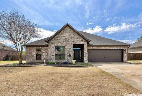 2735 Muscadine Ln, Conway, AR 72034 photo 1