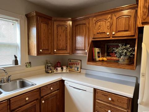 2 Sisney Dr, Ash Flat, AR 72513 photo 5