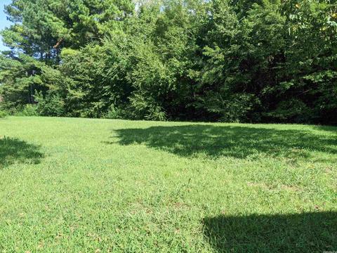 38 Madolyn Ave, Ash Flat, AR 72513 photo 17