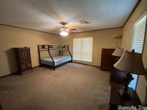 7912 Springhill Rd, Alexander, AR 72002 photo 10