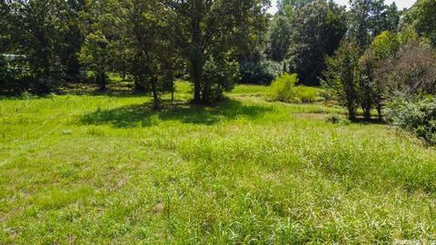 9176 Gilbert Rd, Benton, AR 72019 photo 40