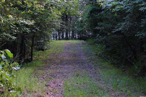 9137 Shadows Edge Rd, Altus, AR 72821 photo 3