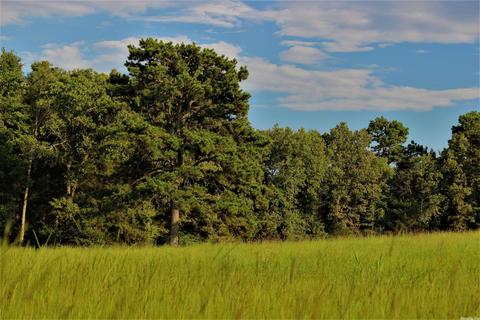 9137 Shadows Edge Rd, Altus, AR 72821 photo 36