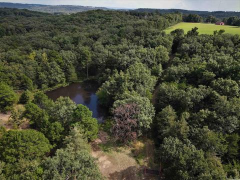 9137 Shadows Edge Rd, Altus, AR 72821 photo 2
