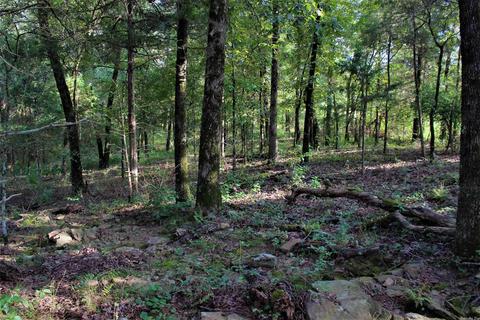 9137 Shadows Edge Rd, Altus, AR 72821 photo 32