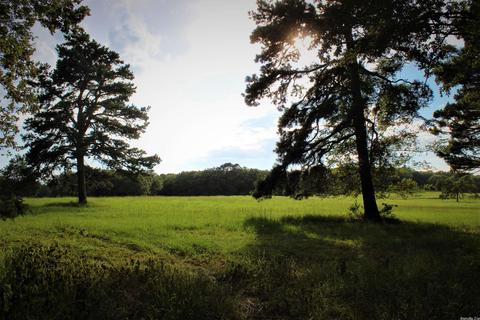 9137 Shadows Edge Rd, Altus, AR 72821 photo 30