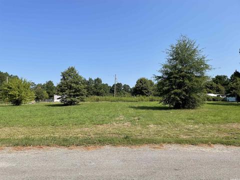 320 Alex Loop, Sheridan, AR 72132 photo 2