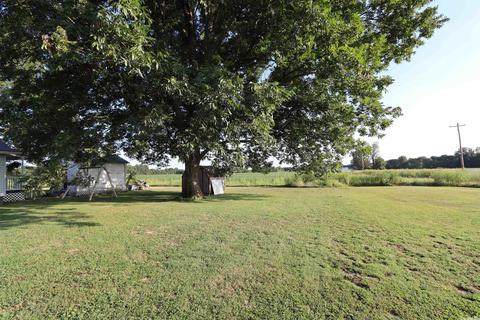 703 Greene 550 Rd, Marmaduke, AR 72443 photo 5