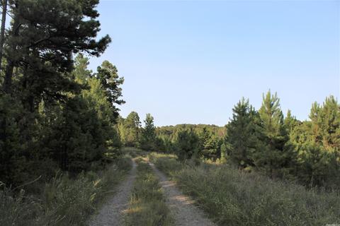 644 Old Gin Rd, Bee Branch, AR 72013 photo 3