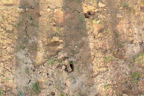 644 Old Gin Rd, Bee Branch, AR 72013 photo 2
