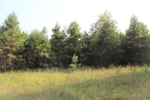 644 Old Gin Rd, Bee Branch, AR 72013 photo 4