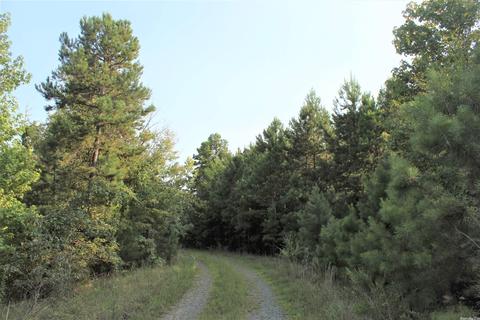 644 Old Gin Rd, Bee Branch, AR 72013 photo 6