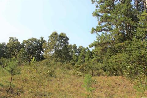 644 Old Gin Rd, Bee Branch, AR 72013 photo 9