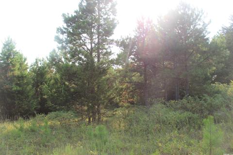 644 Old Gin Rd, Bee Branch, AR 72013 photo 8