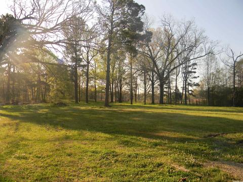 2907 Ashcraft, White Hall, AR 71602 photo 33