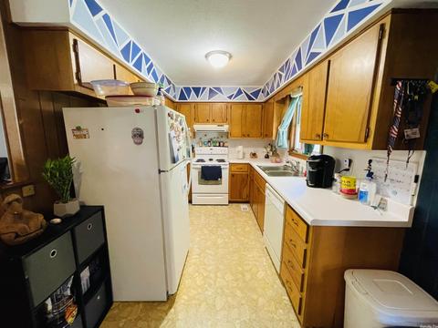75 Arnhart St, Ash Flat, AR 72513 photo 7