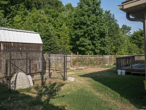 3979 Eastern Slope Dr, Alexander, AR 72002 photo 6