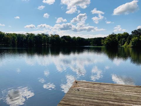 123 Pine Valley Lp, Houston, AR 72070 photo 22