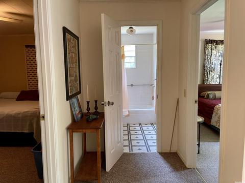 79 Mistletoe Ave, Williford, AR 72482 photo 6