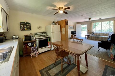 79 Mistletoe Ave, Williford, AR 72482 photo 3