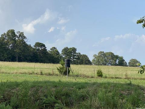 3025 Old Larkin Rd, Melbourne, AR 72556 photo 8