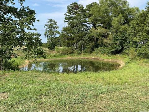 3025 Old Larkin Rd, Melbourne, AR 72556 photo 5