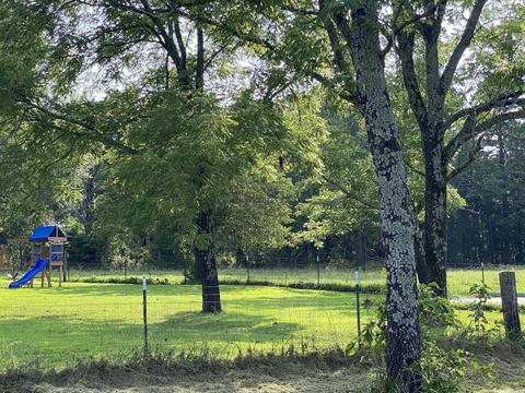 3025 Old Larkin Rd, Melbourne, AR 72556 photo 4